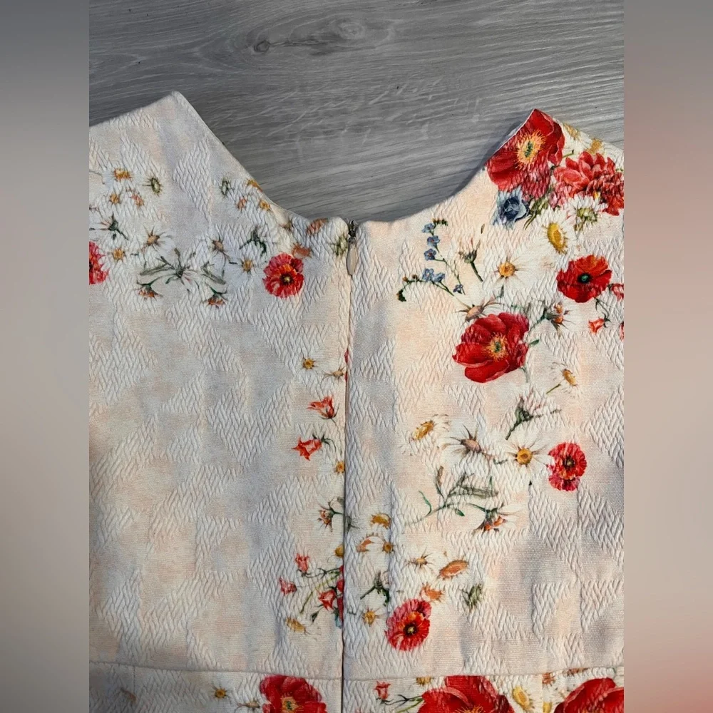 ZARA Floral Embroidered Dress‎